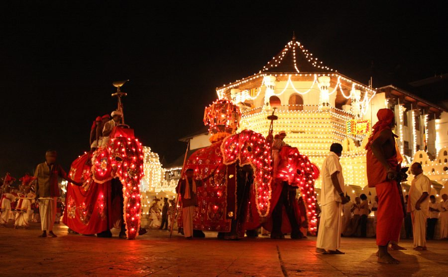 Temple of the Tooth lit for the Perahera