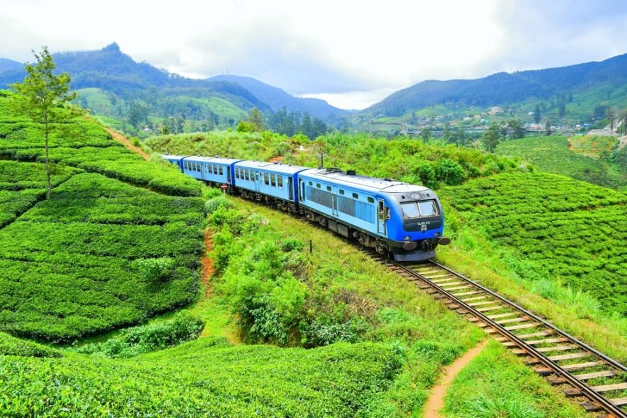 The hill-country train through tea estates
