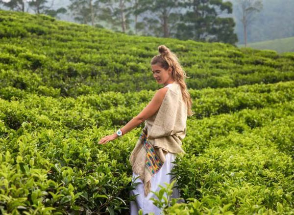 Walking through the tea estates